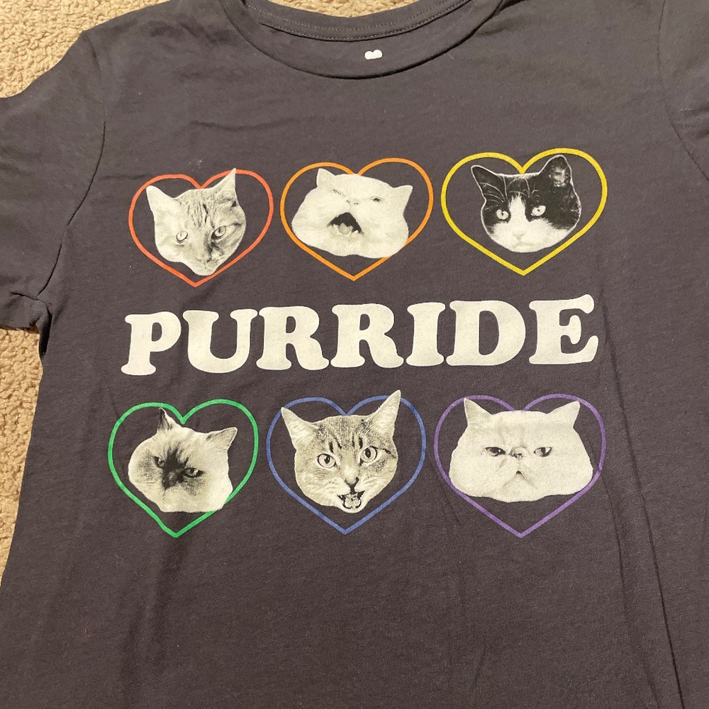 Pride T-Shirt Cats